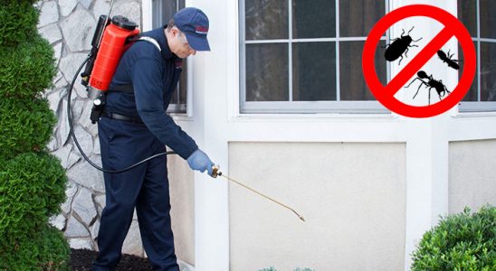 Ayancık Bit İlaçlama böcek ilaçlama ve haşere kontrolü — ilaclama-tr.com